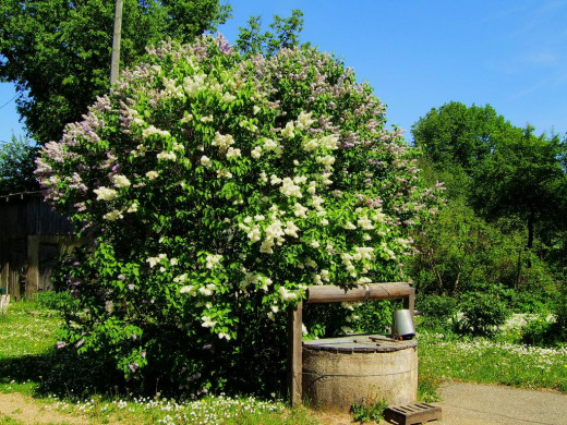 42028 (a): :1024x768